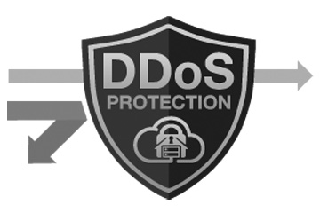 DDoS Protection